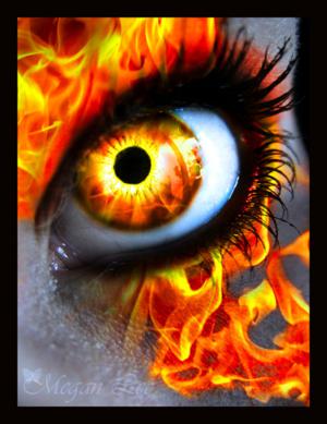 Fire Eye by Megan Wheeler